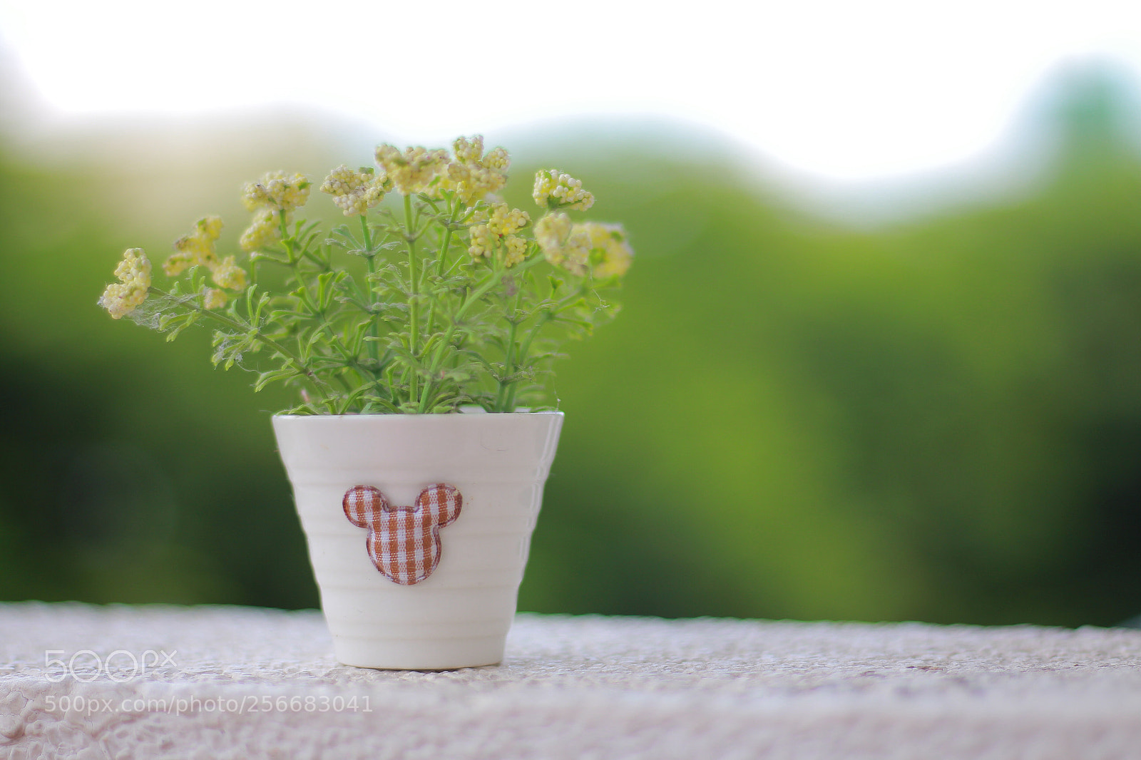 Canon EOS 650D (EOS Rebel T4i / EOS Kiss X6i) sample photo. Untitled photography
