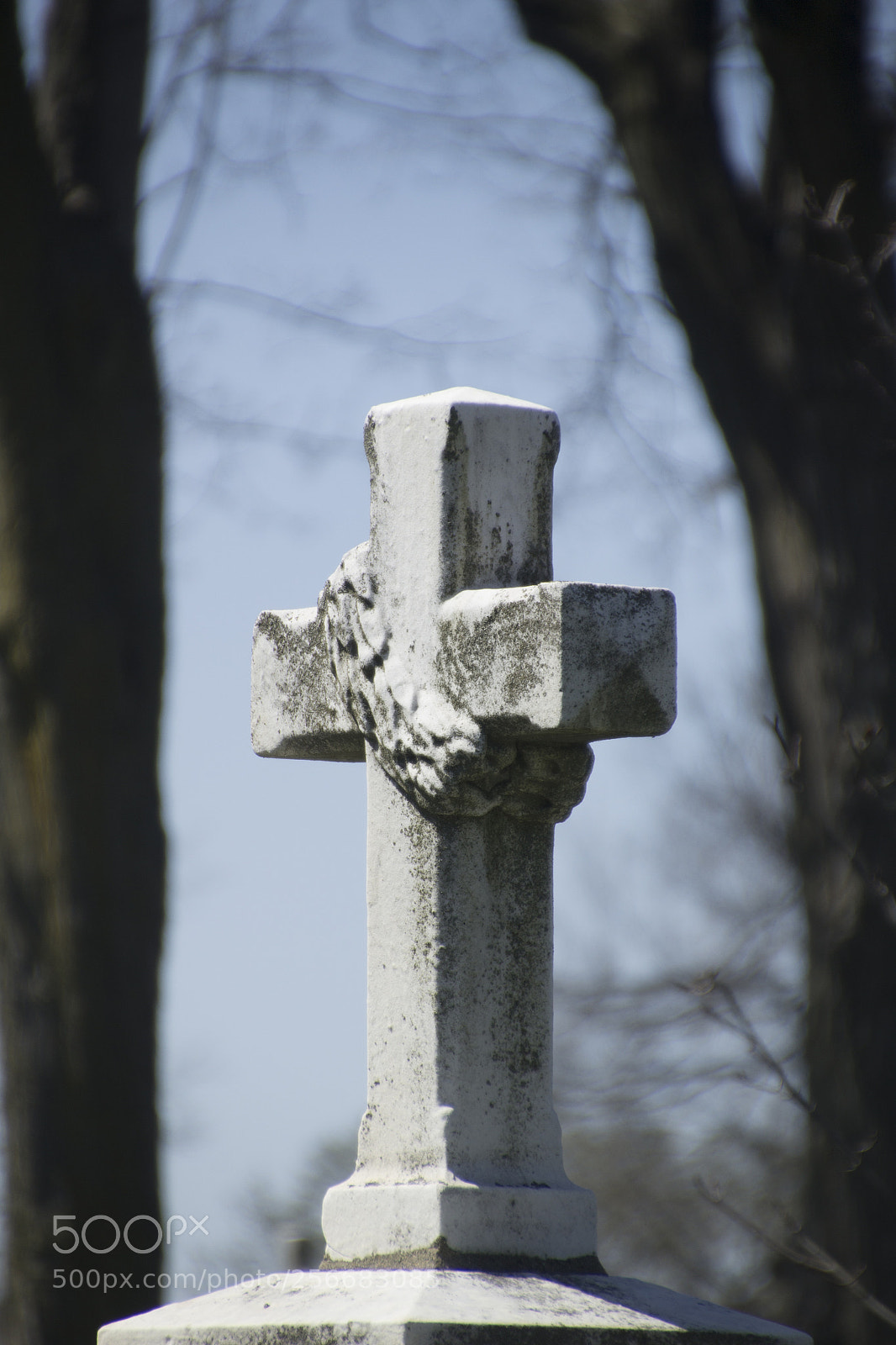 Canon EOS 1200D (EOS Rebel T5 / EOS Kiss X70 / EOS Hi) sample photo. Cross and blurry branches. photography