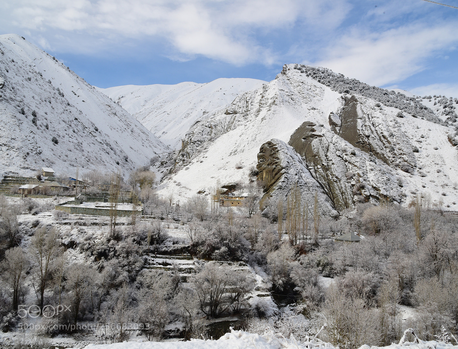 Nikon D750 sample photo. Snow and cold photography