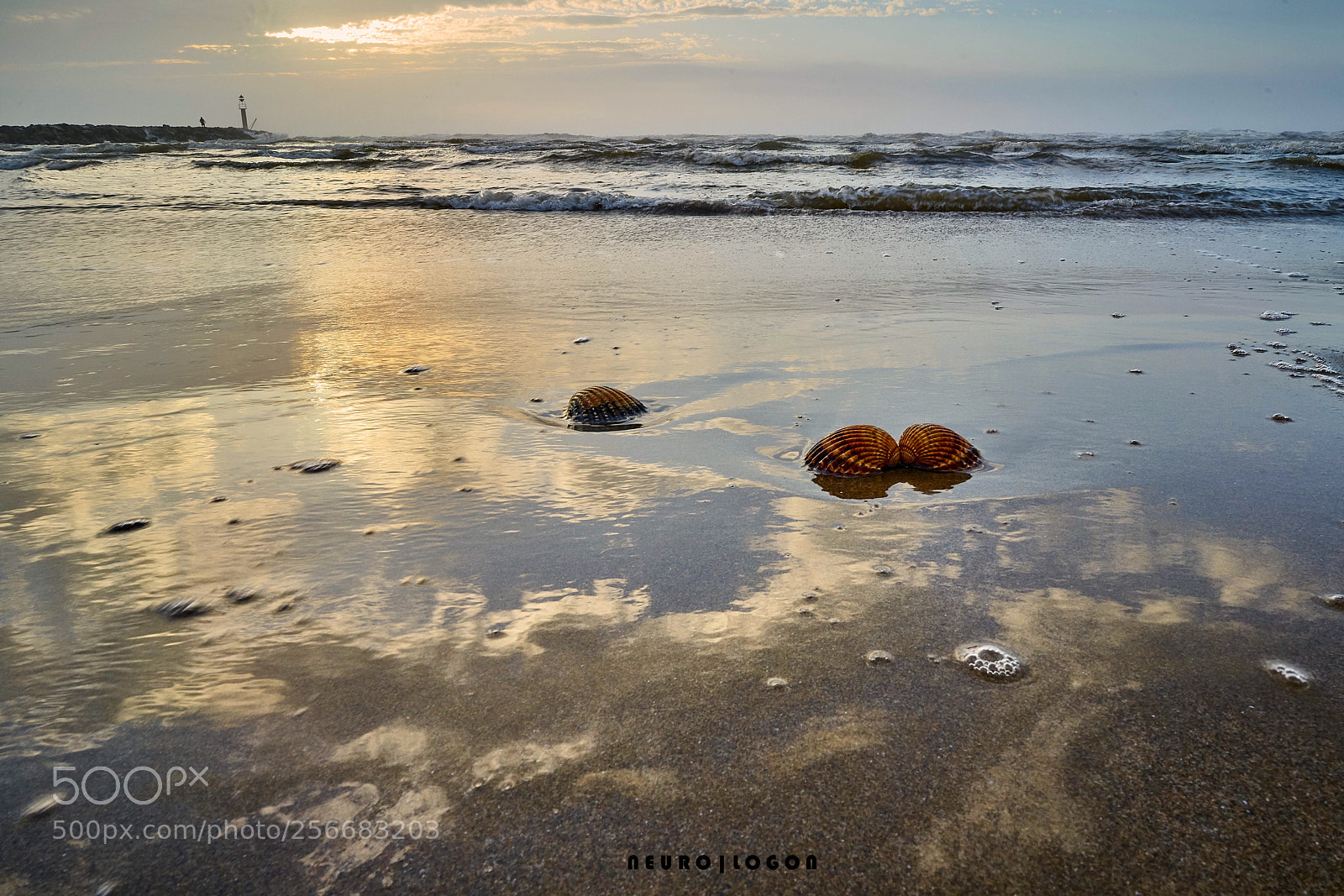 Sony a7R II sample photo. Mirror sky photography