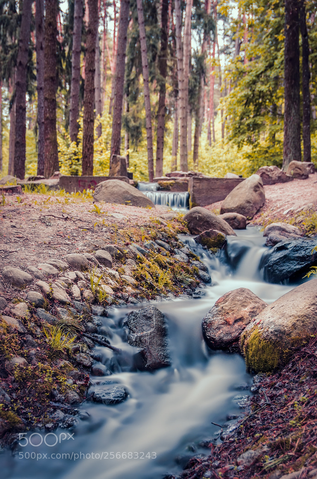 Nikon D5100 sample photo. Flow photography