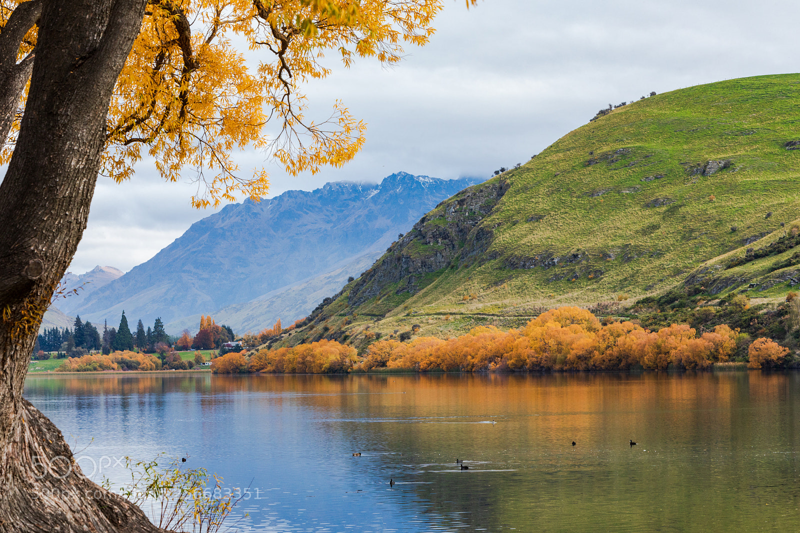 Canon EOS 5D Mark IV sample photo. Lake hayes reflections photography