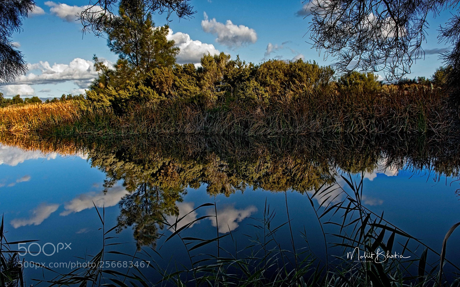 Nikon D5200 sample photo. Barker inlet wetlands photography