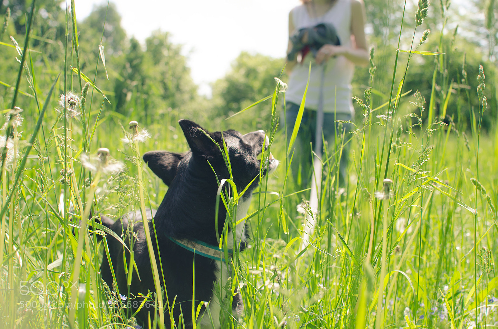 Nikon D5100 sample photo. Happy walking photography