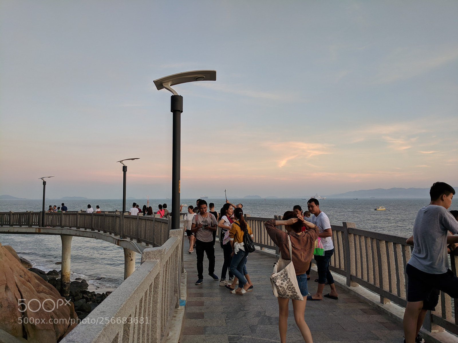 Google Pixel XL sample photo. Untitled photography