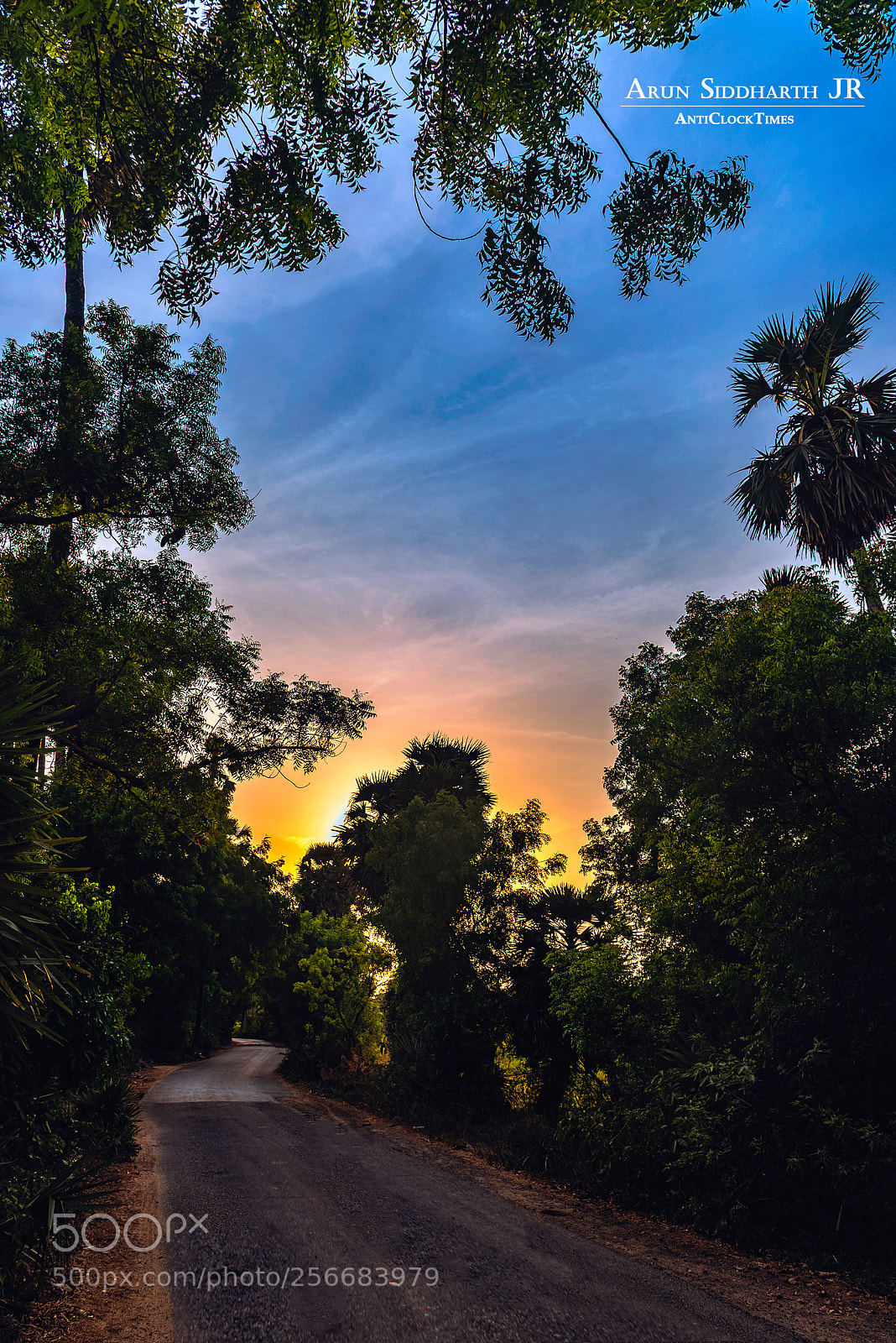 Nikon D750 sample photo. The way is waiting photography