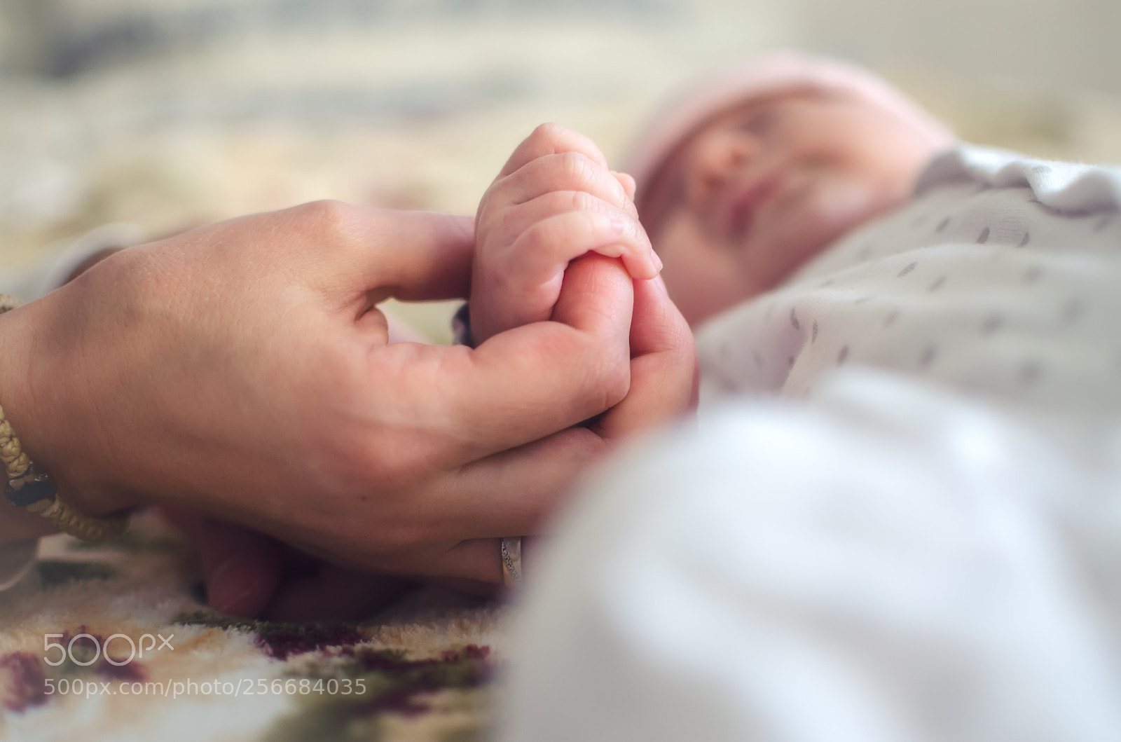 Nikon D5100 sample photo. Contact photography