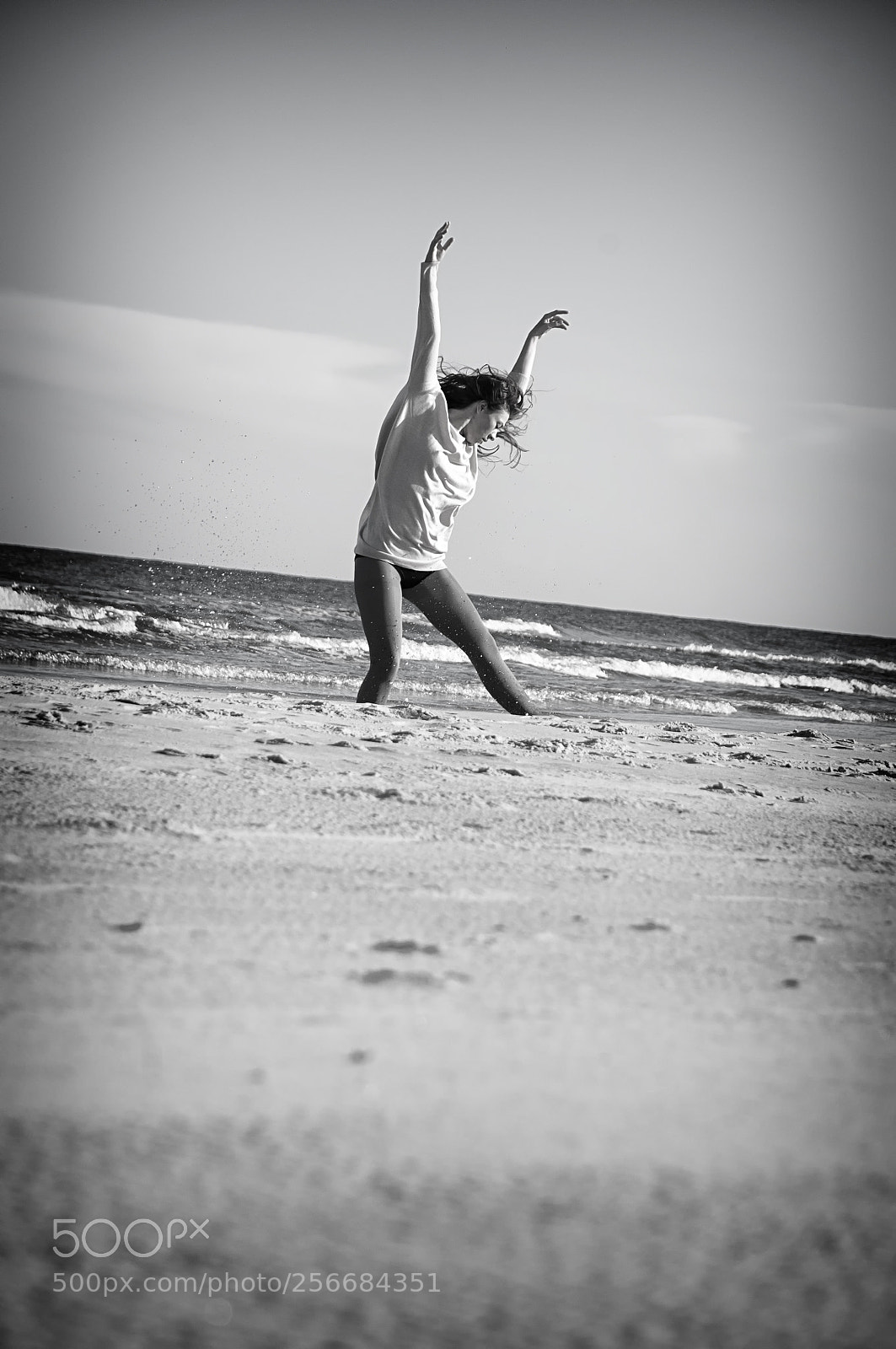 Nikon D300 sample photo. Flay alone photography
