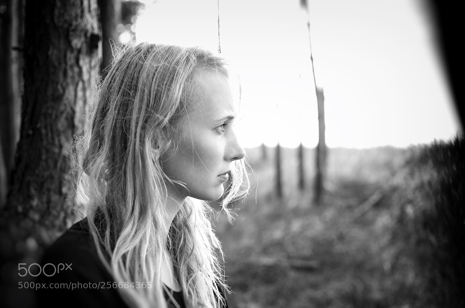 Nikon D300 sample photo. Flay alone photography