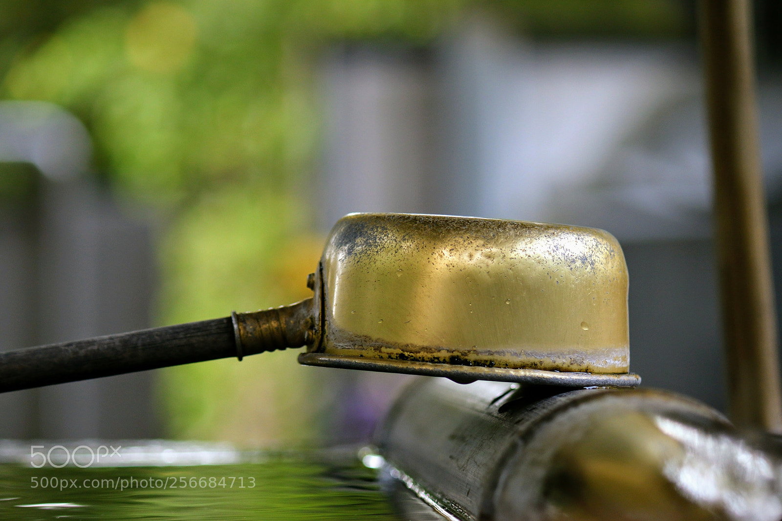 Canon EOS 7D Mark II sample photo. Untitled photography