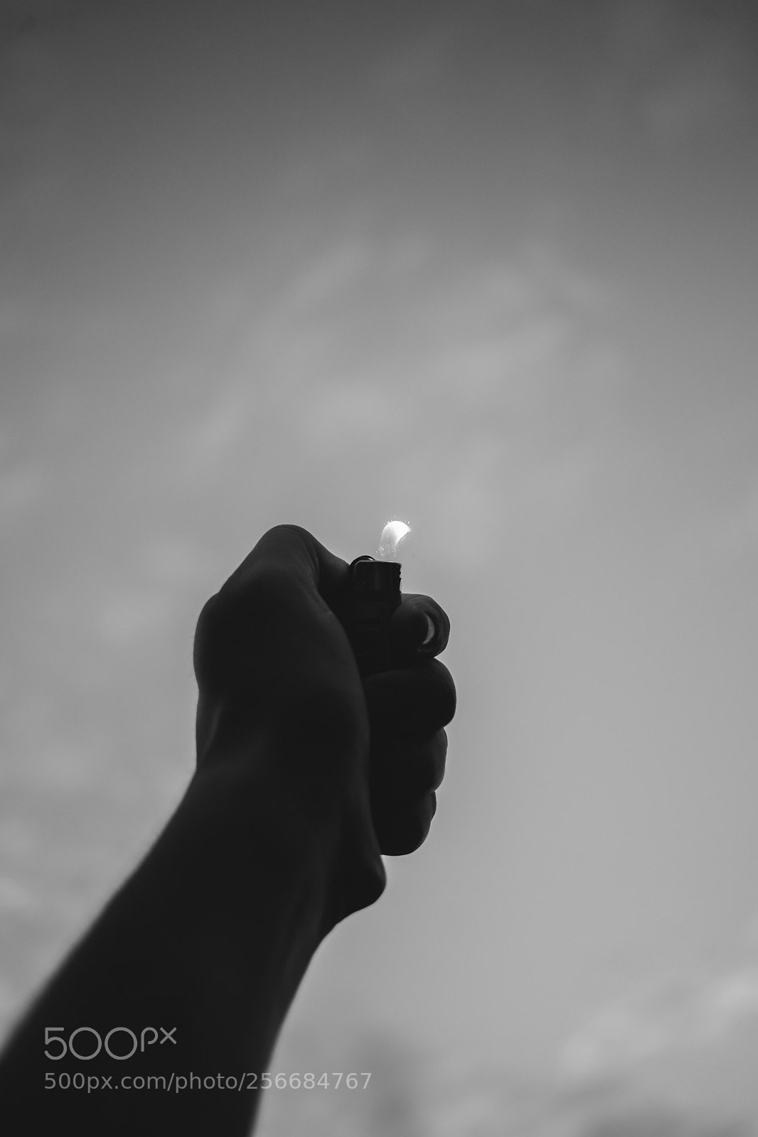 Canon EOS 6D sample photo. Untitled photography