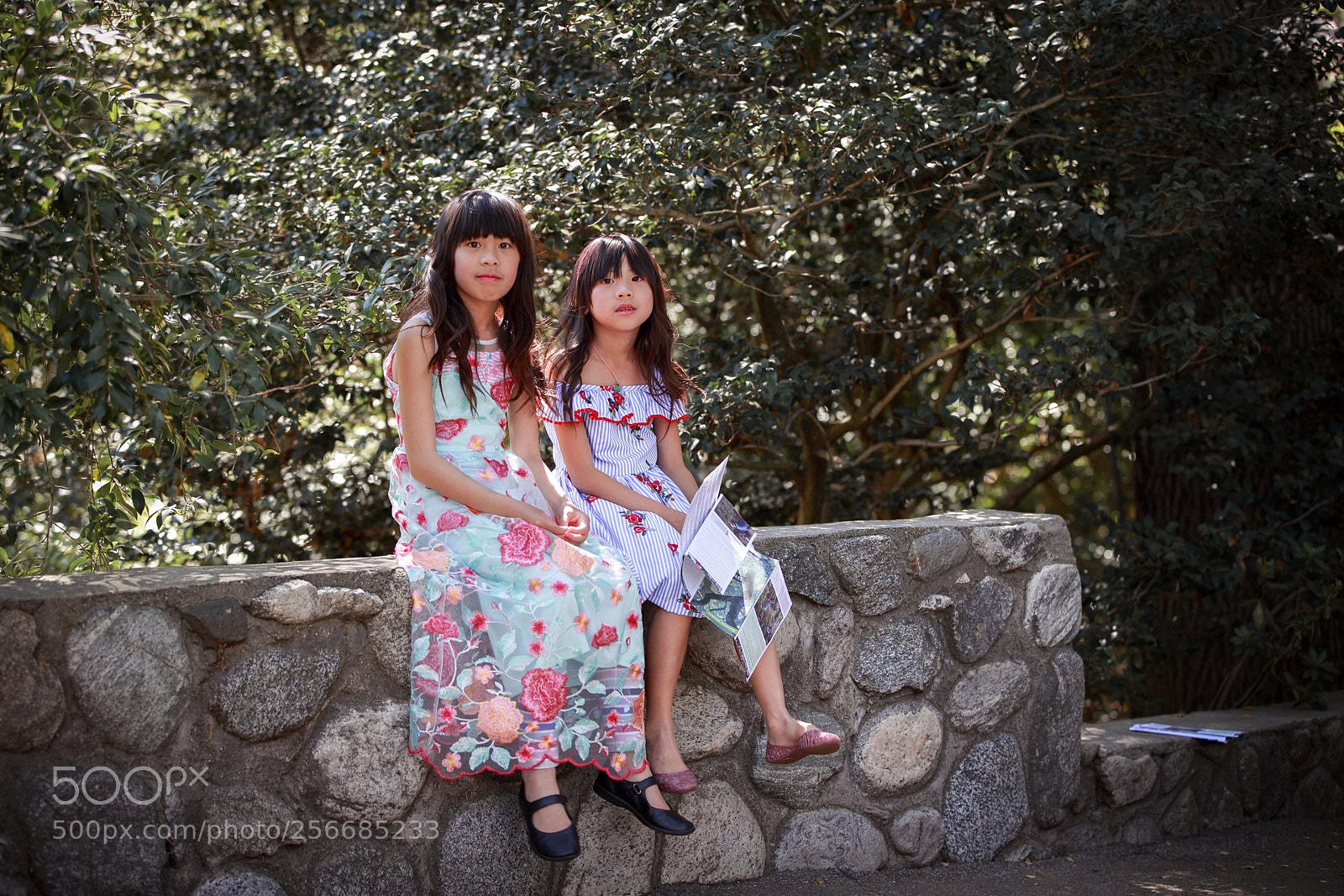 Canon EOS-1D X sample photo. Hq photography