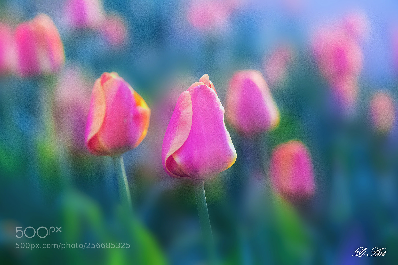 Canon EOS 6D sample photo. Springtime photography
