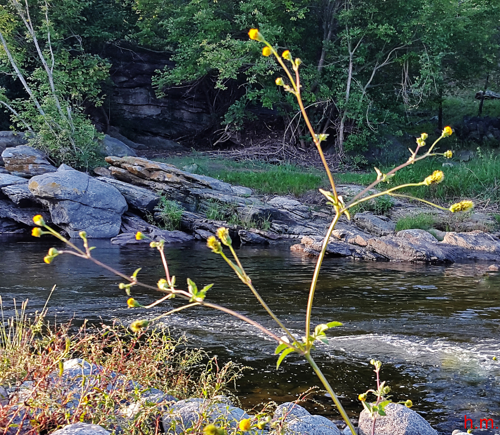 Samsung Galaxy S5 sample photo. Fbefco photography