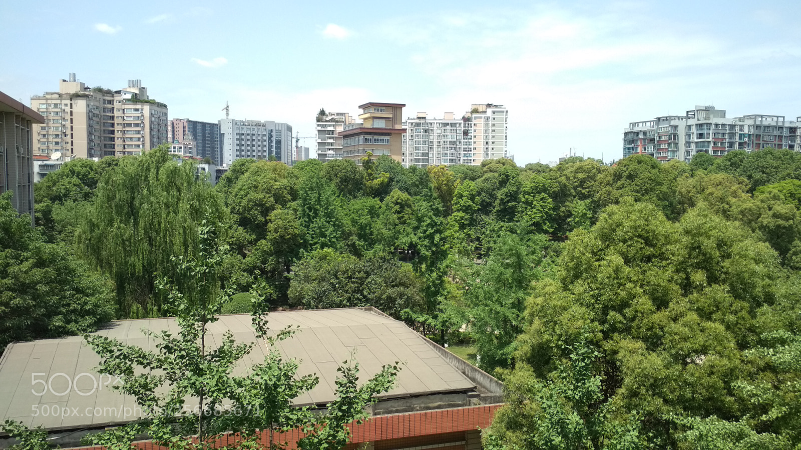 Xiaomi Redmi 4X sample photo. Img_20180506_121643.jpg photography