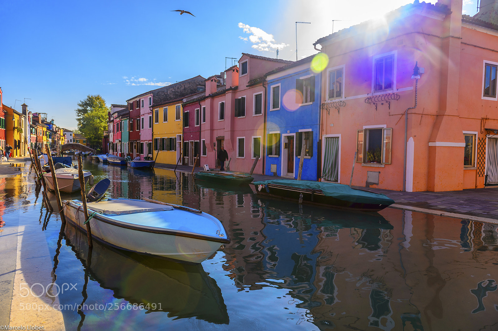 Nikon D4 sample photo. Burano _dsc7050 photography