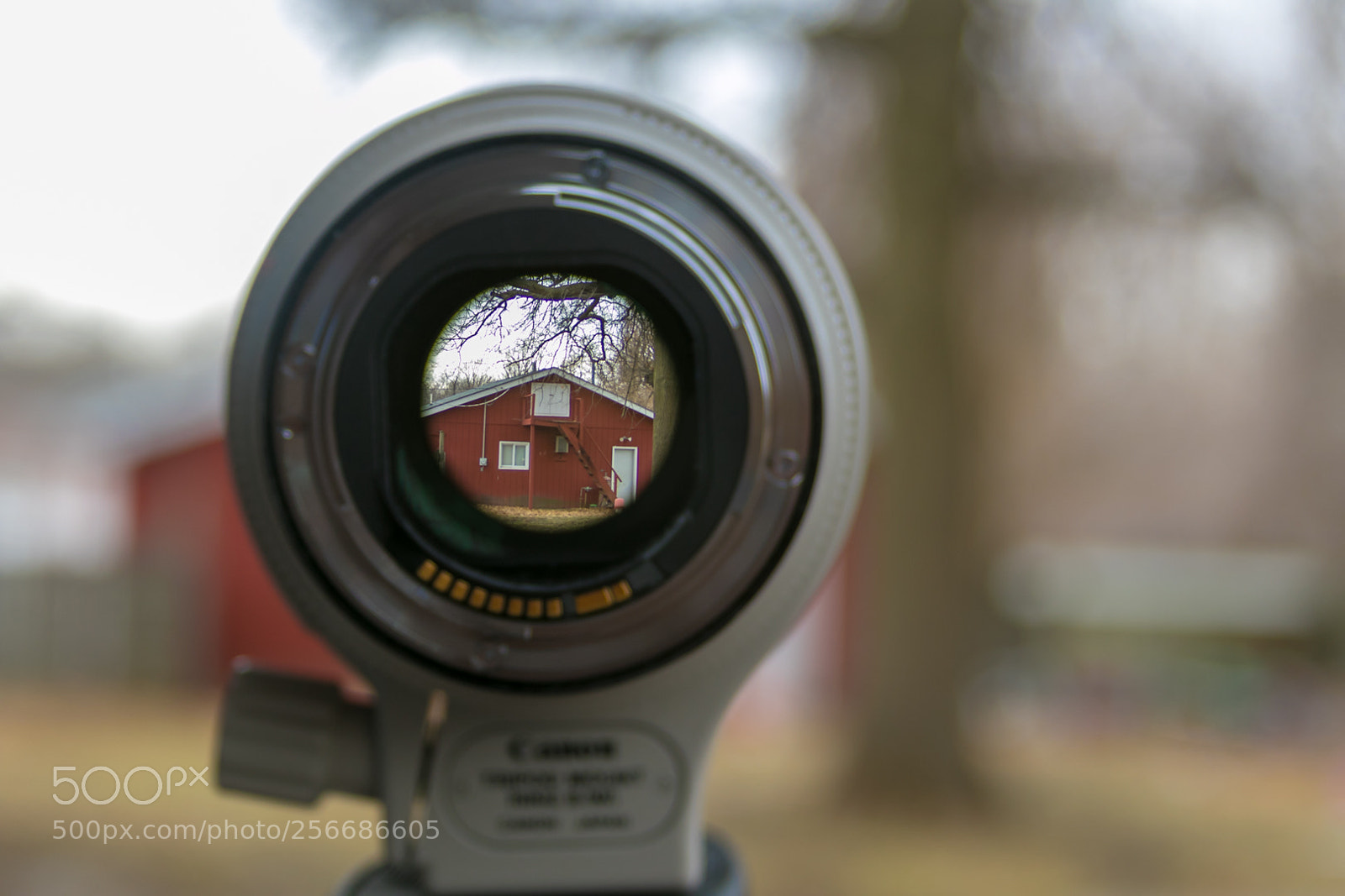 Canon EOS 7D Mark II sample photo. Get it in focus photography