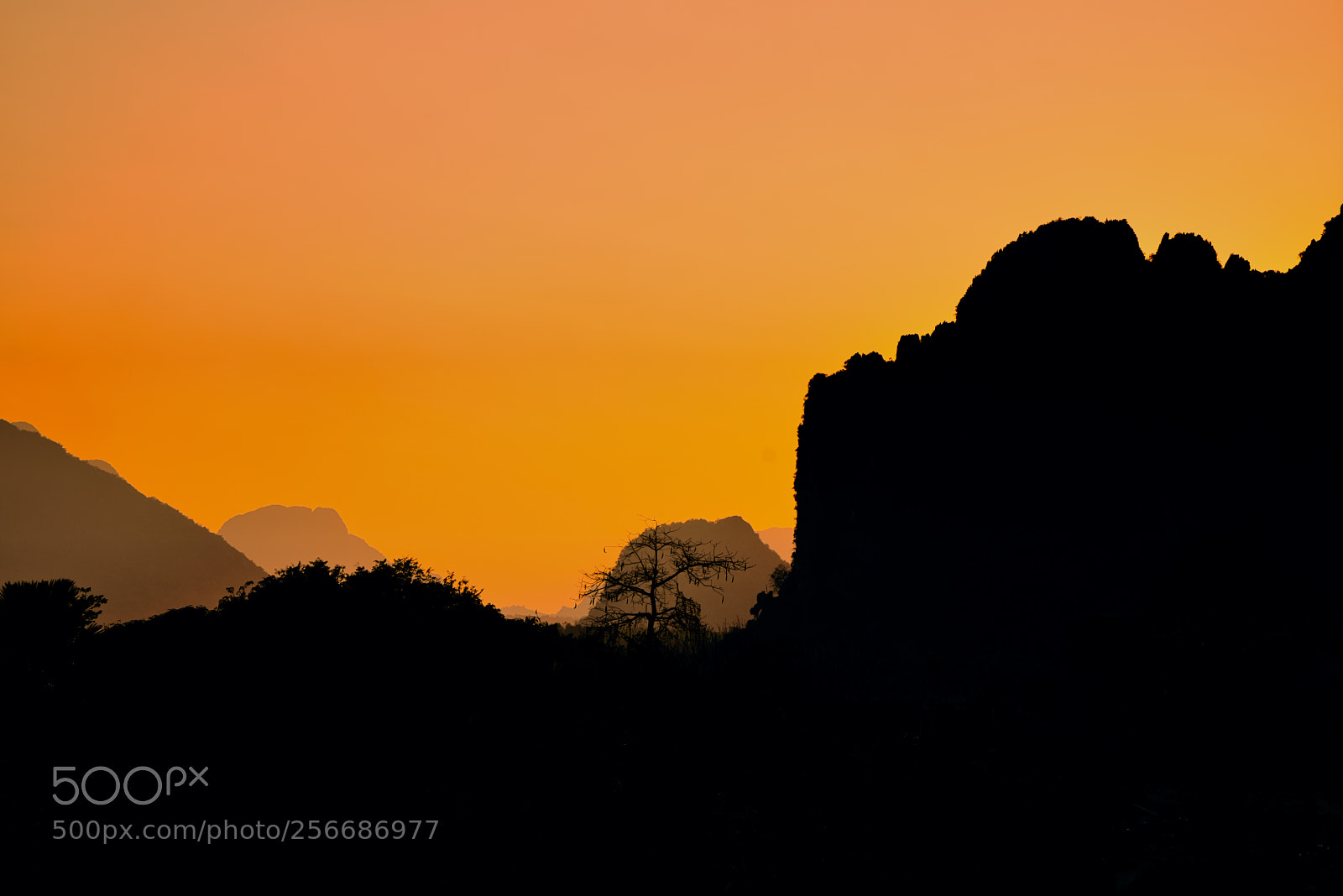 Sony a7R sample photo. Yellow sky photography