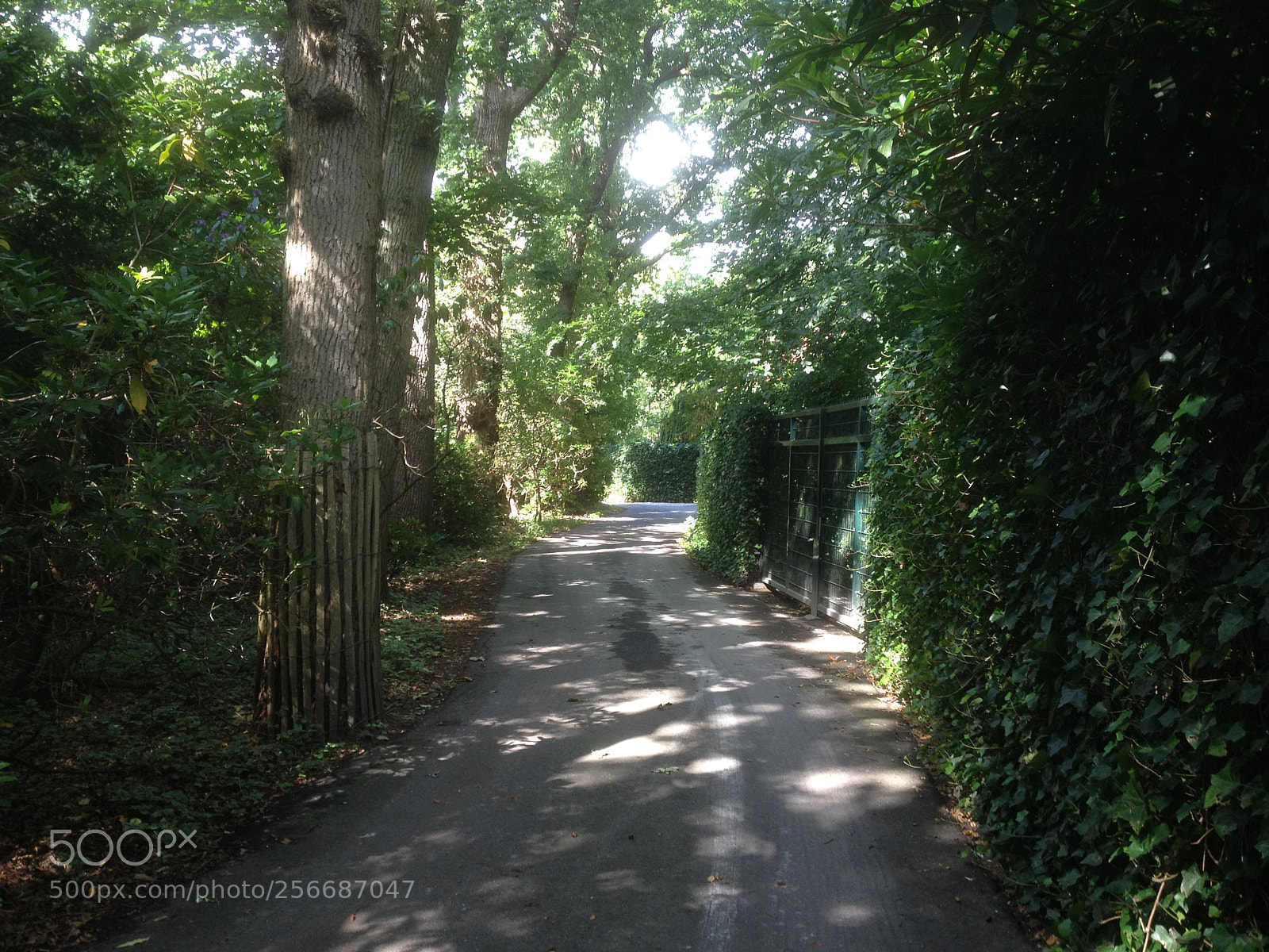 Apple iPhone 4S sample photo. Groot haesebroekseweg photography