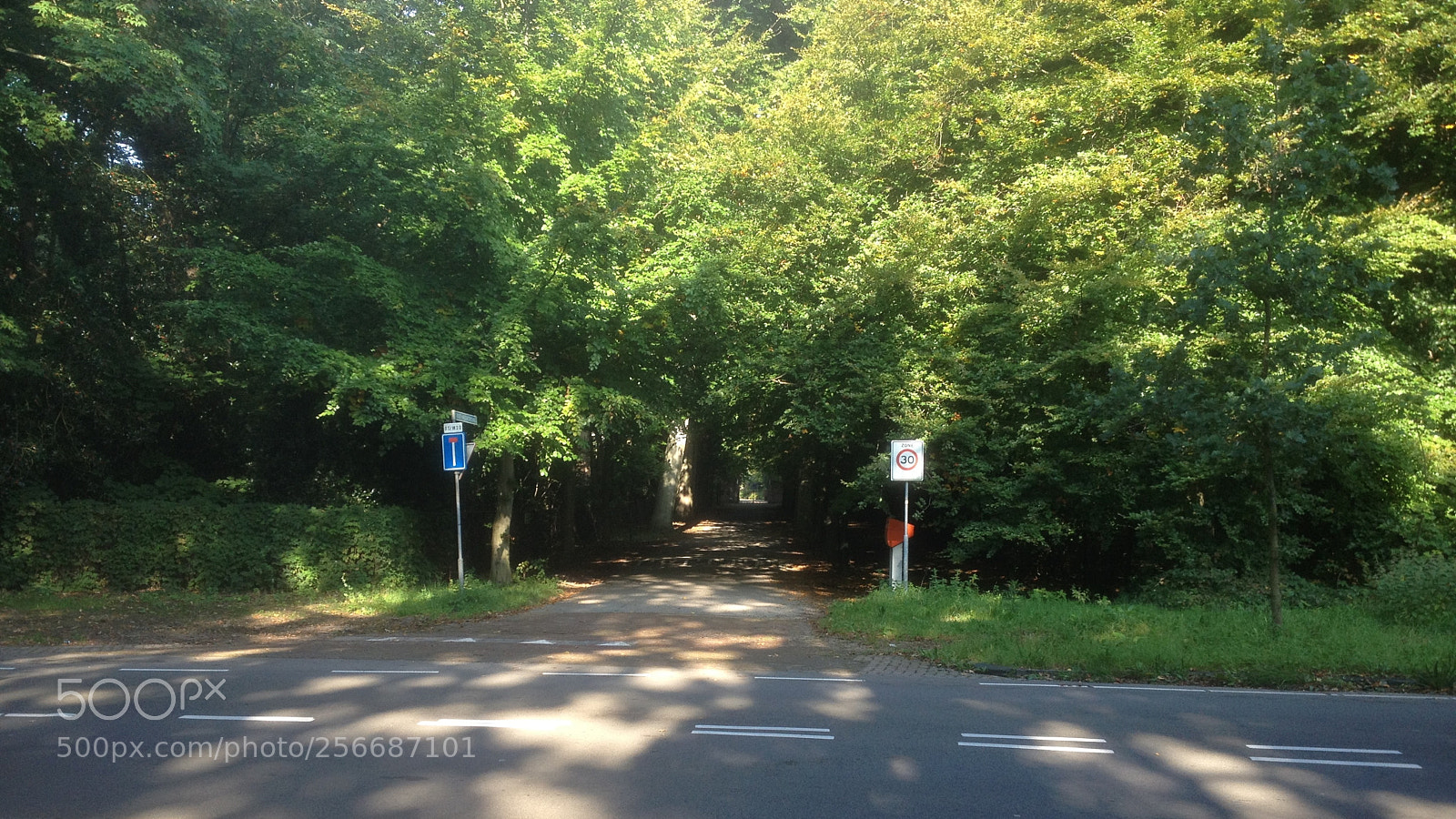 Apple iPhone 4S sample photo. Groot haesebroekseweg photography