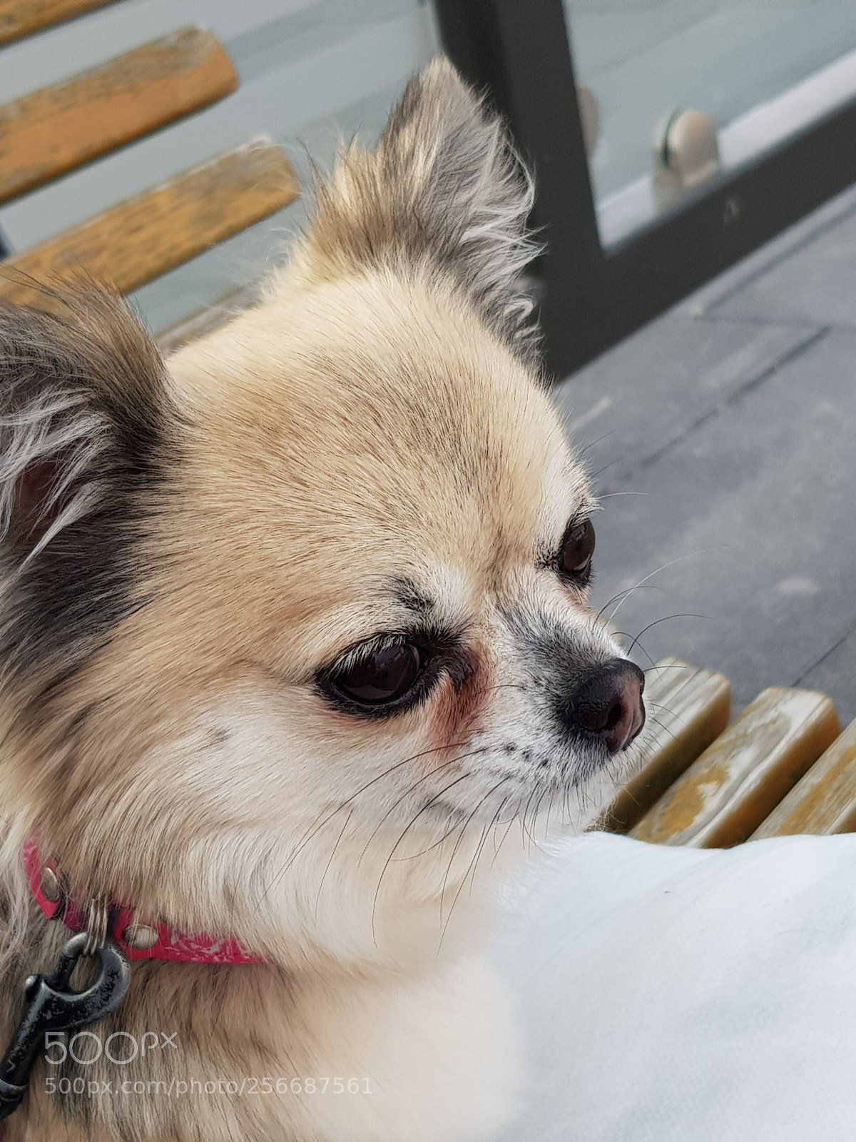 Samsung Galaxy S8 sample photo. Untitled photography