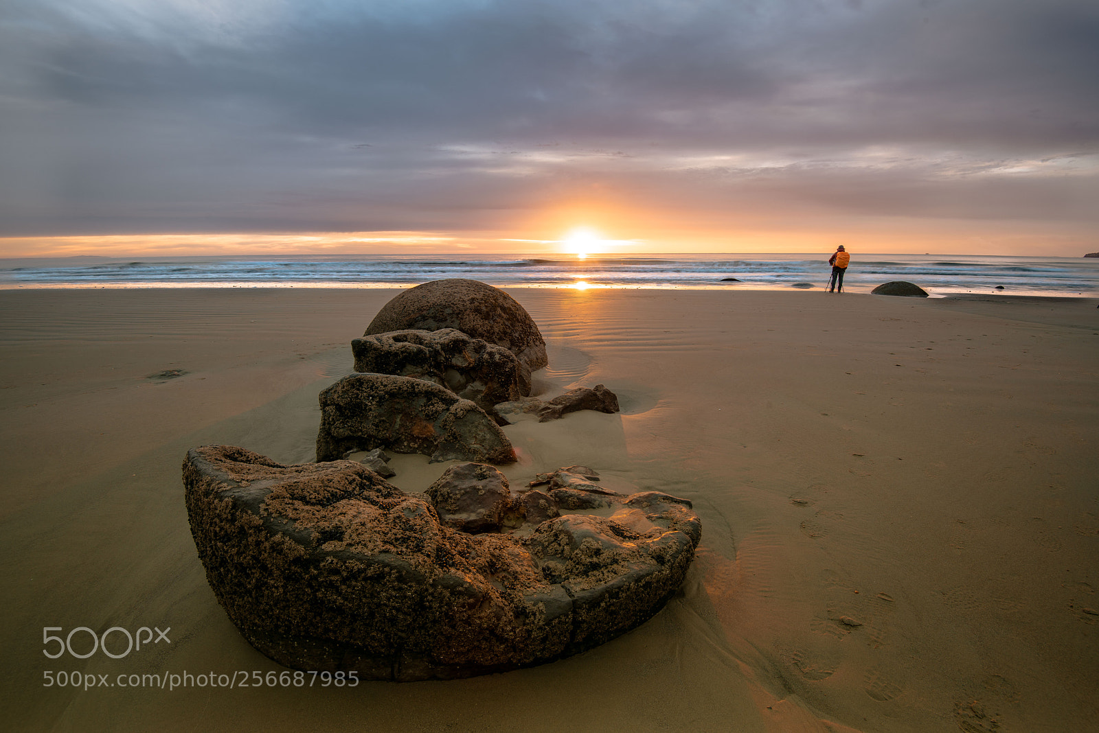 Nikon D810 sample photo. Moeraki boulders sunrise photography