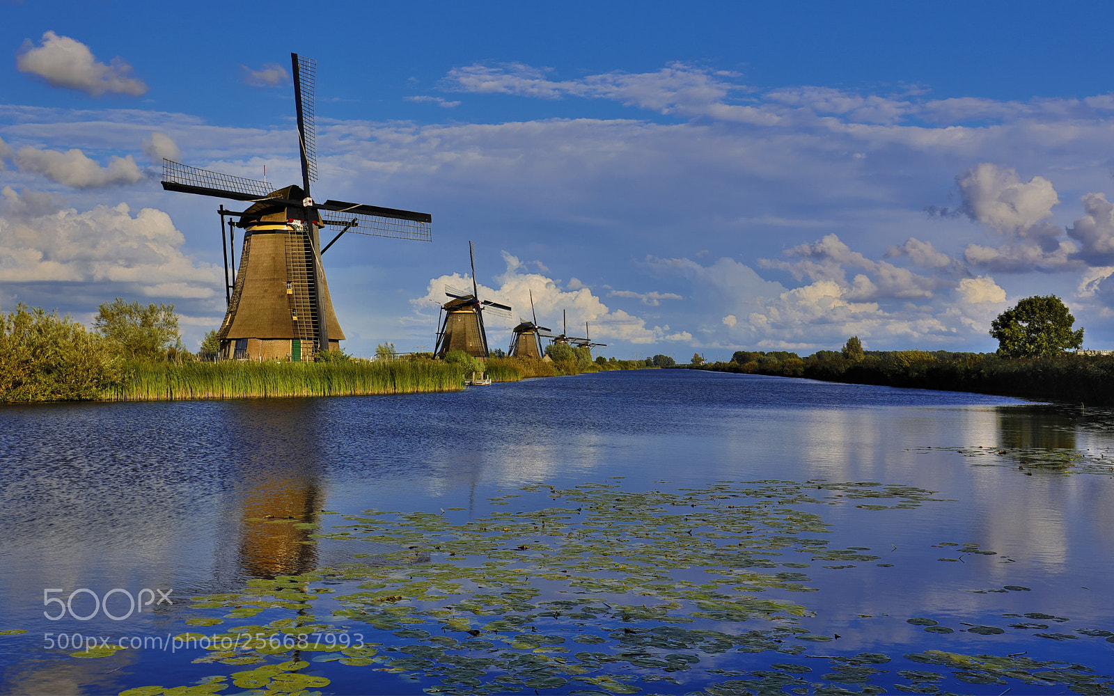 Canon EOS 5D Mark IV sample photo. The dutch windmills photography