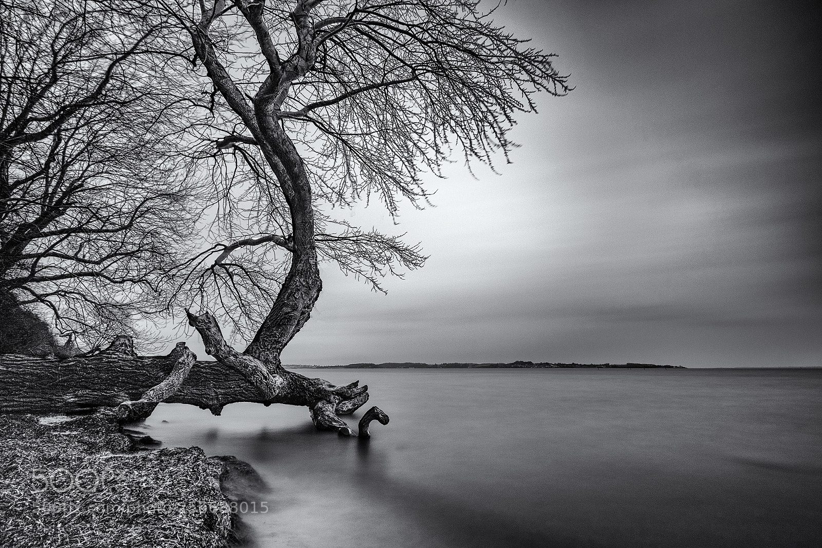 Canon EOS 70D sample photo. Tree in sea photography