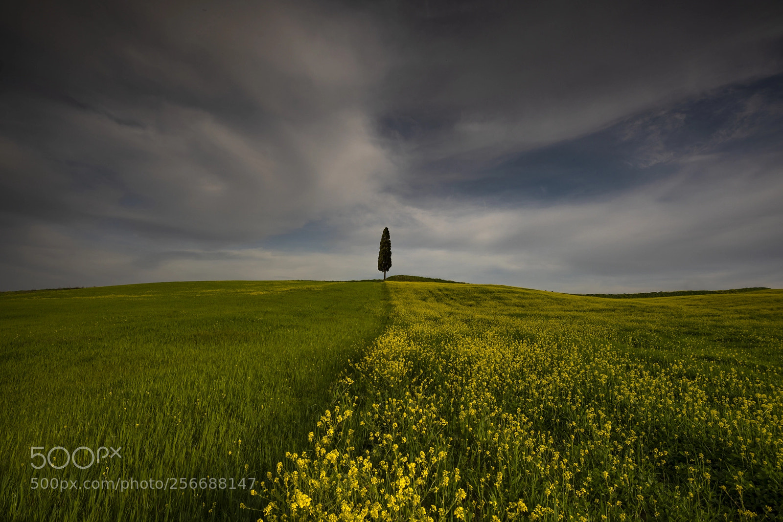 Nikon D750 sample photo. One tuscany photography