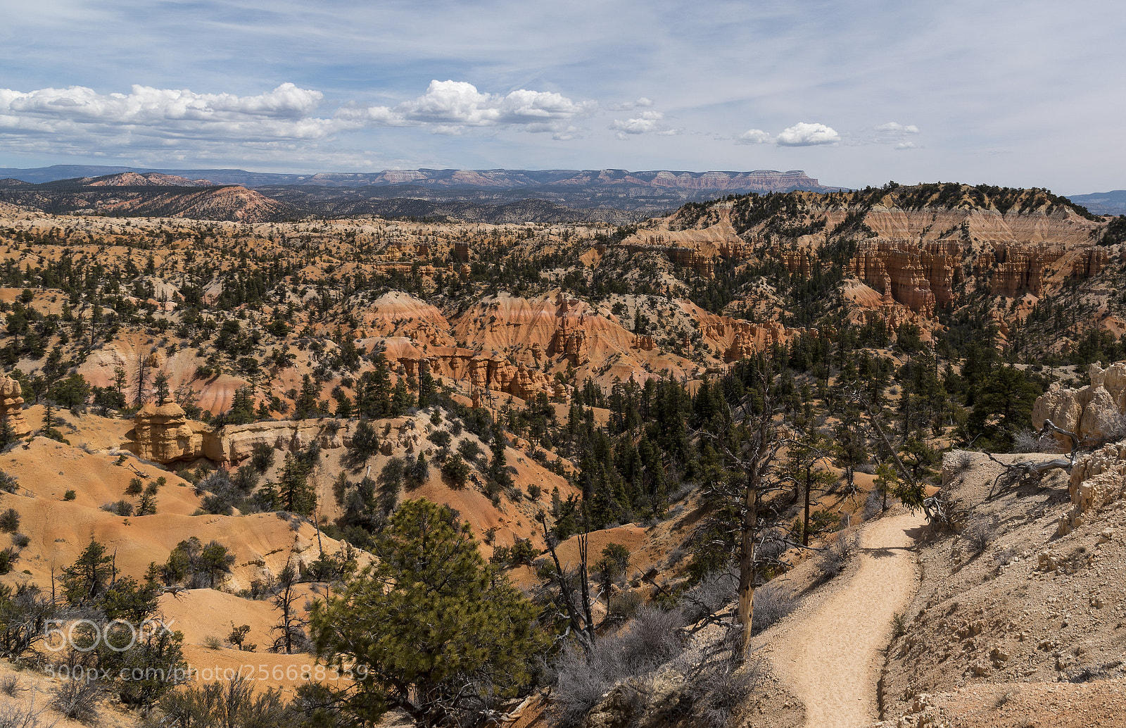 Nikon D750 sample photo. Sunset point, bryce canyon photography
