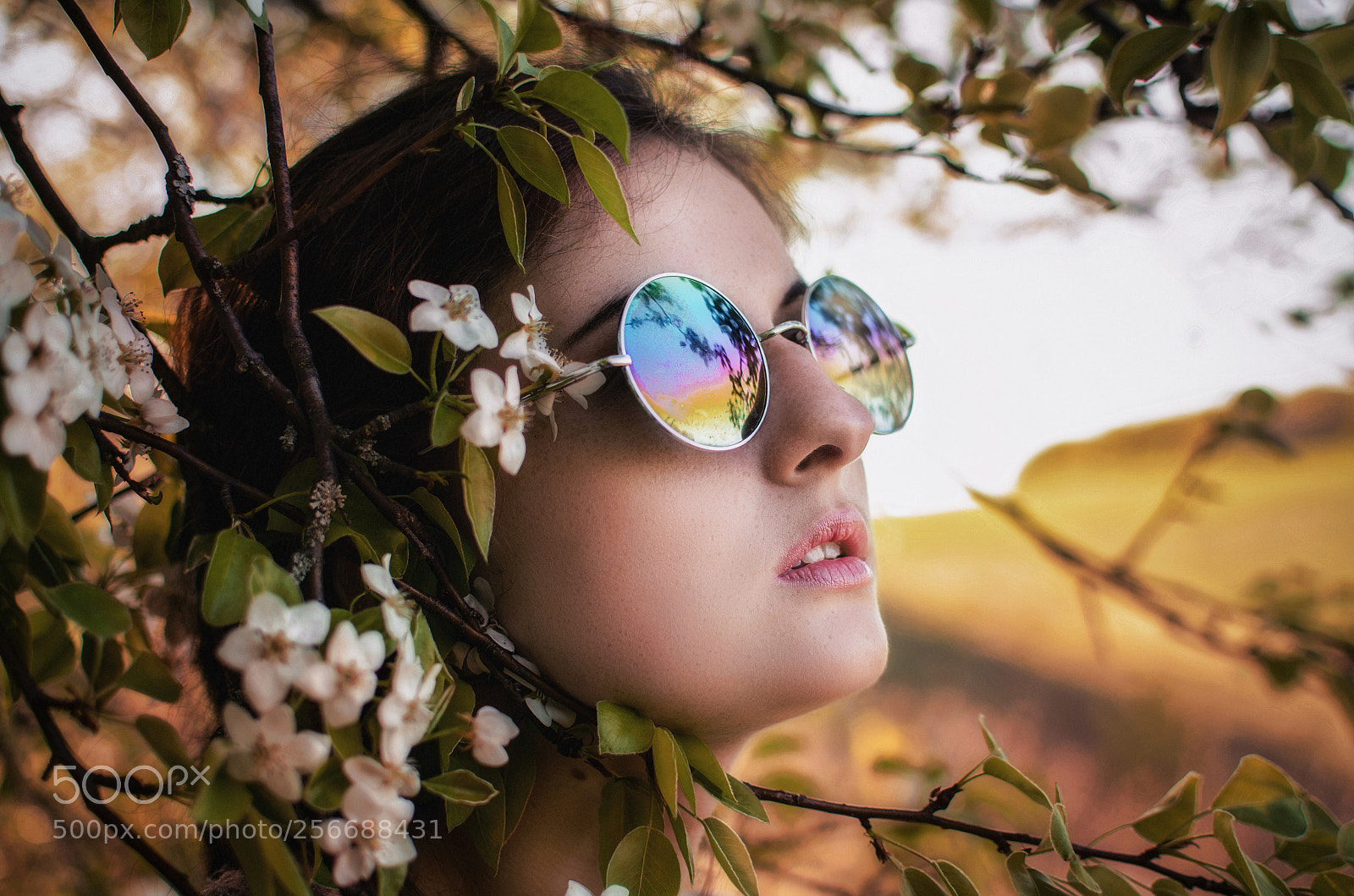 Nikon D5100 sample photo. In blossom photography