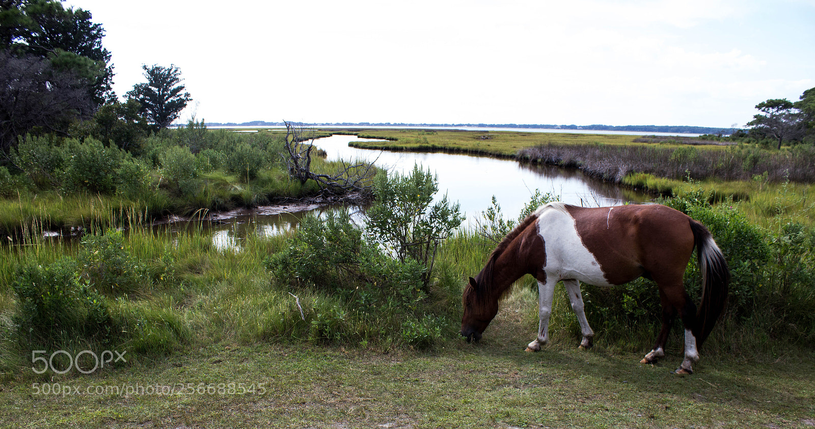 Canon EOS 600D (Rebel EOS T3i / EOS Kiss X5) sample photo. Delaware scenery photography