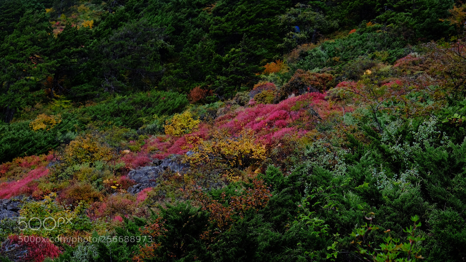 Fujifilm X-E2 sample photo. 西藏印象之四-珠峰东坡徒步 photography