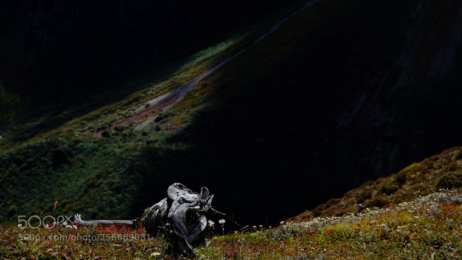 Fujifilm X-E2 sample photo. 西藏印象之四-珠峰东坡徒步 photography