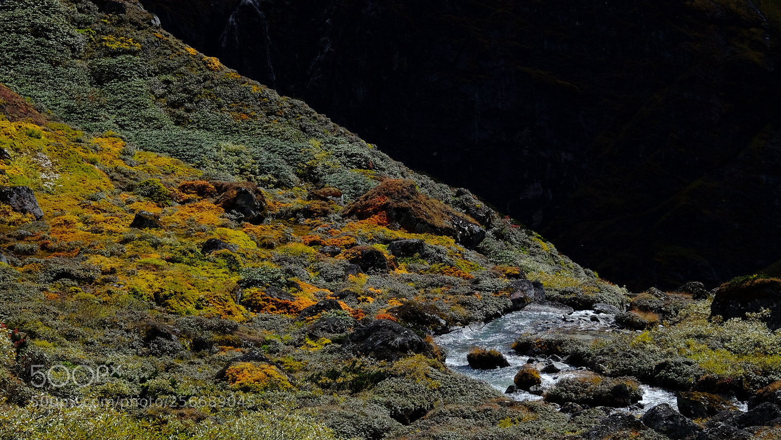Fujifilm X-E2 sample photo. 西藏印象之四-珠峰东坡徒步 photography