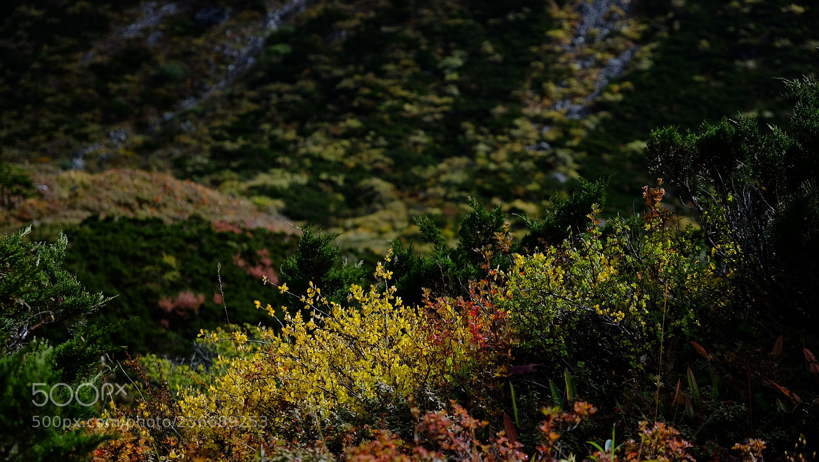 Fujifilm X-E2 sample photo. 西藏印象之四-珠峰东坡徒步 photography