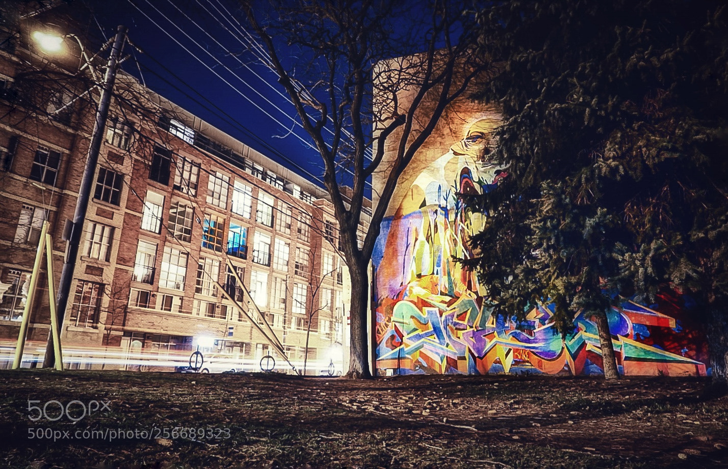 Sony a6300 sample photo. Just behind the tree photography