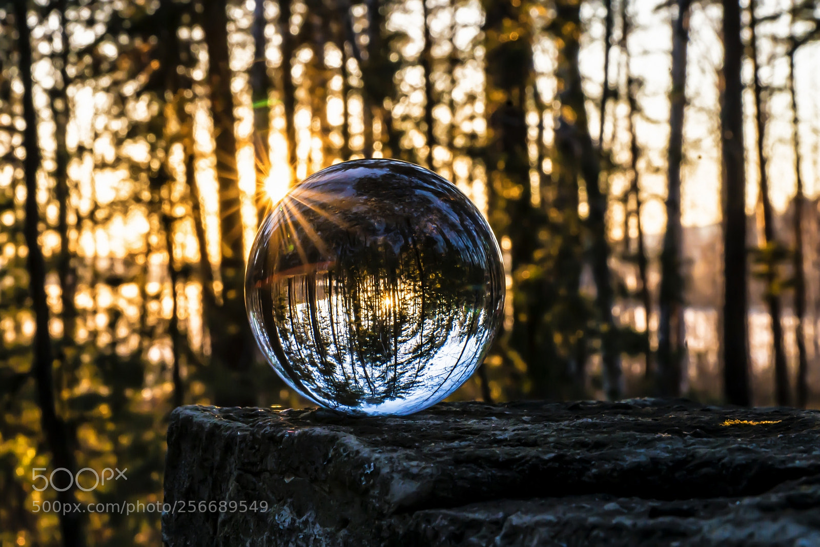 Nikon D800 sample photo. Glass ball and sun photography