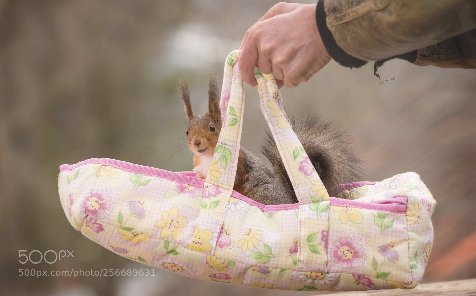 Nikon D810 sample photo. Hands carrying an baby photography