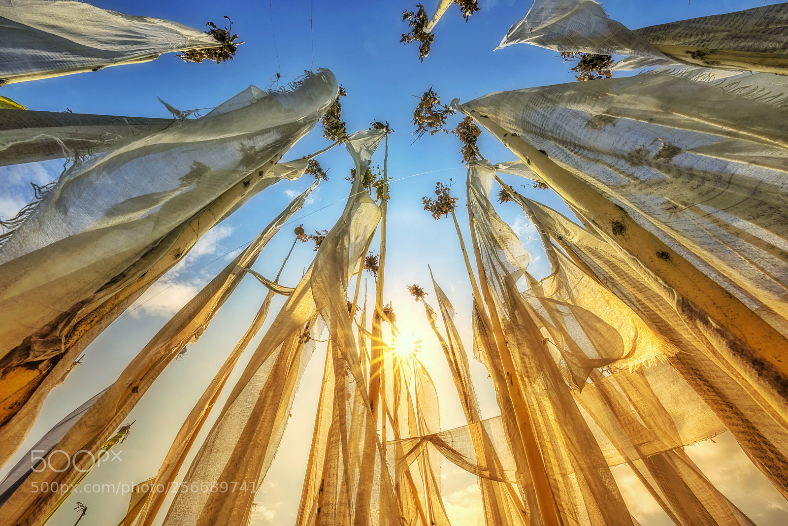 Nikon D810 sample photo. Prayer flag photography