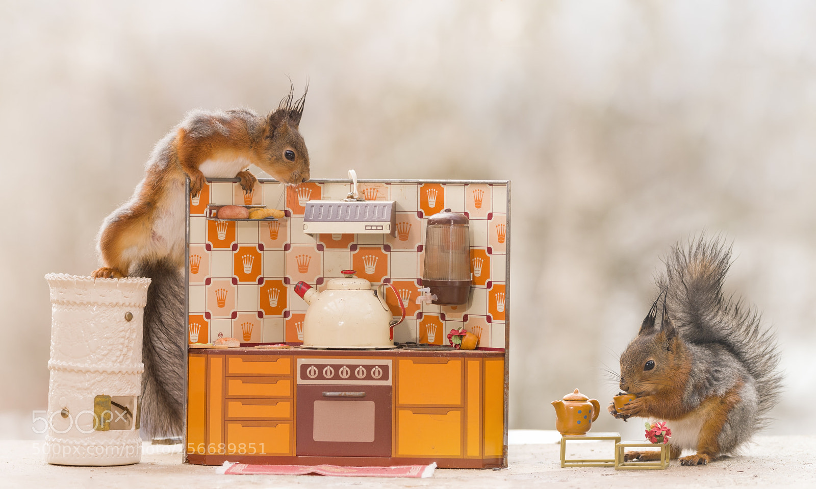 Nikon D810 sample photo. Red squirrels with a photography