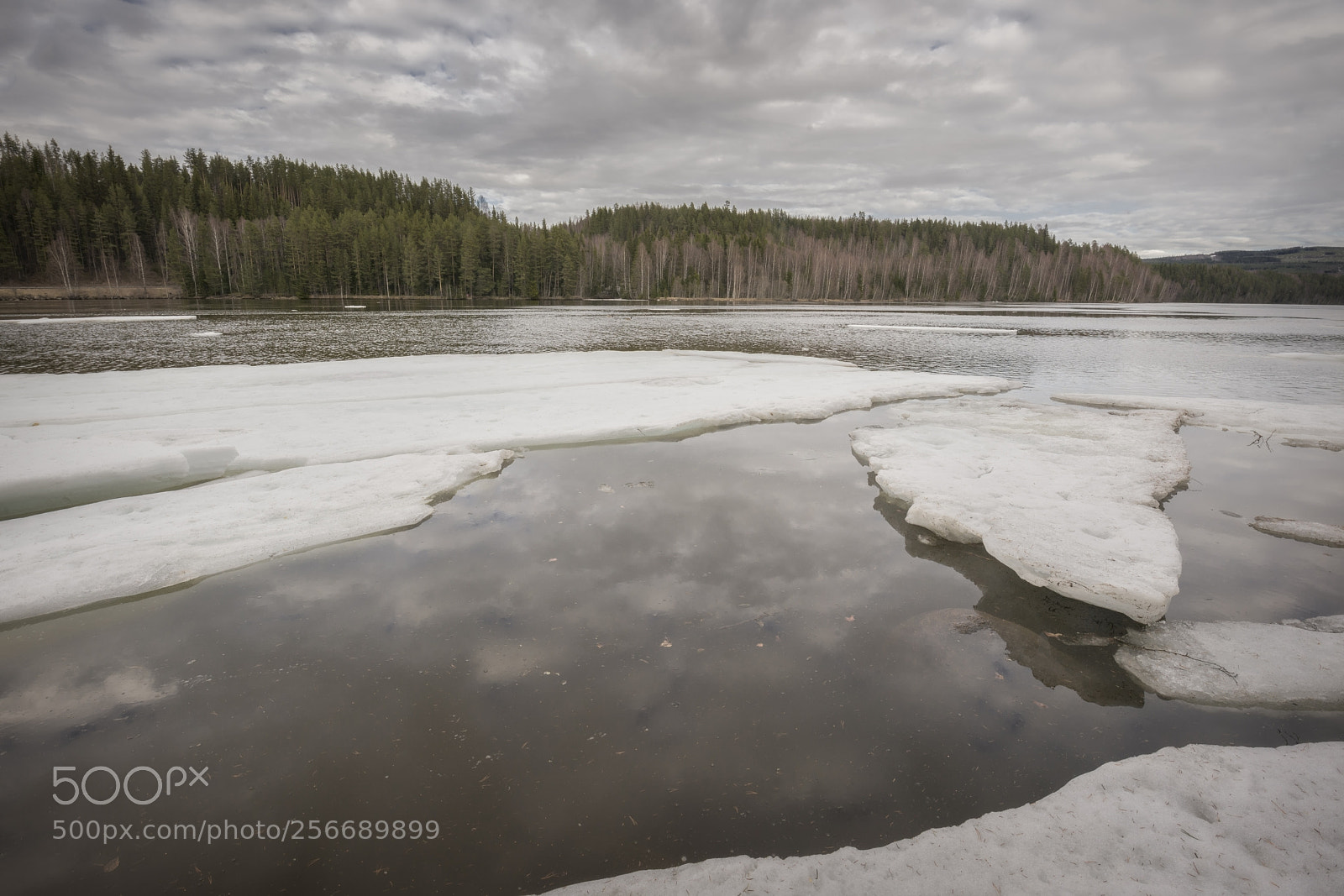 Nikon D810 sample photo. Ice in an early photography