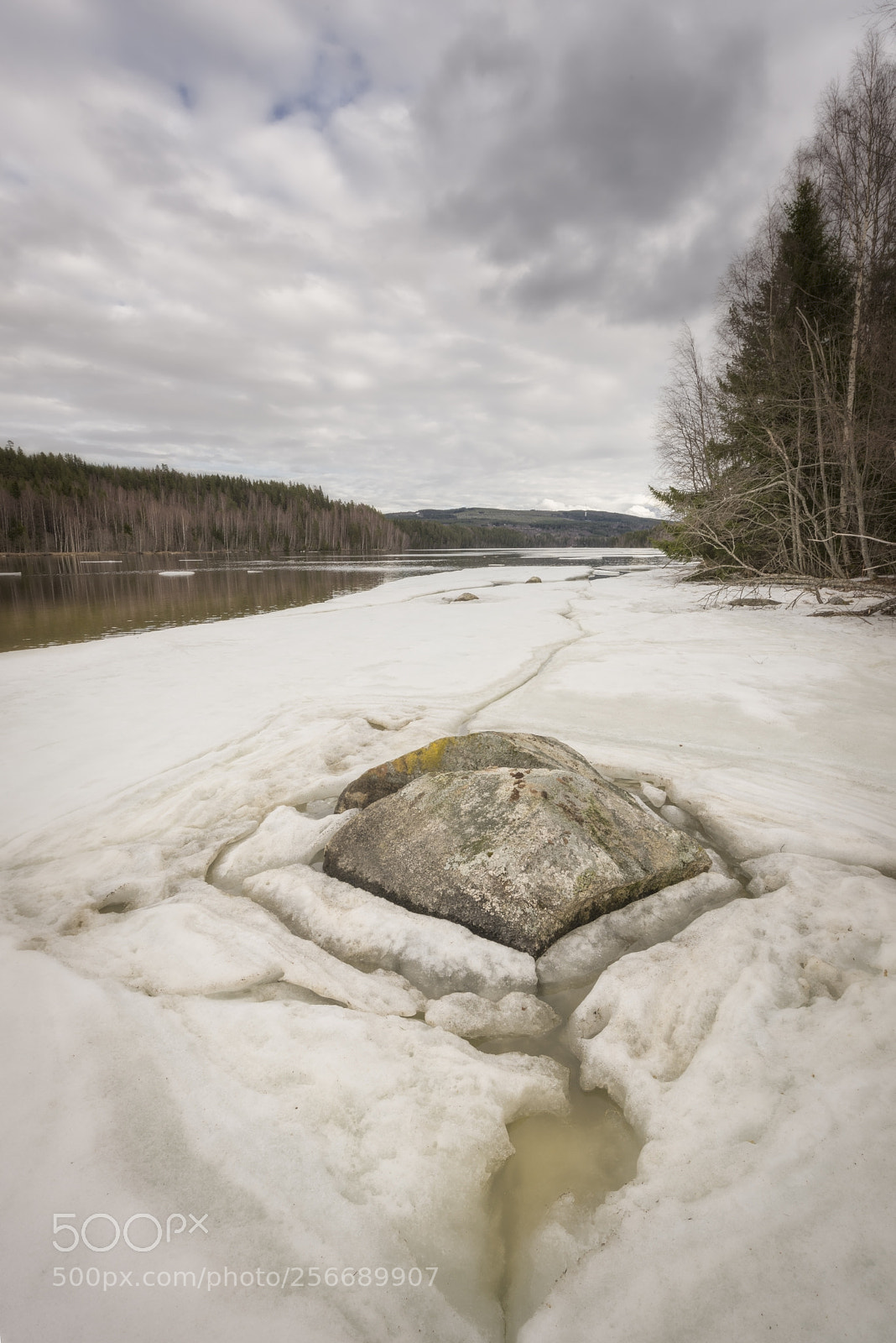 Nikon D810 sample photo. Rock in ice in photography