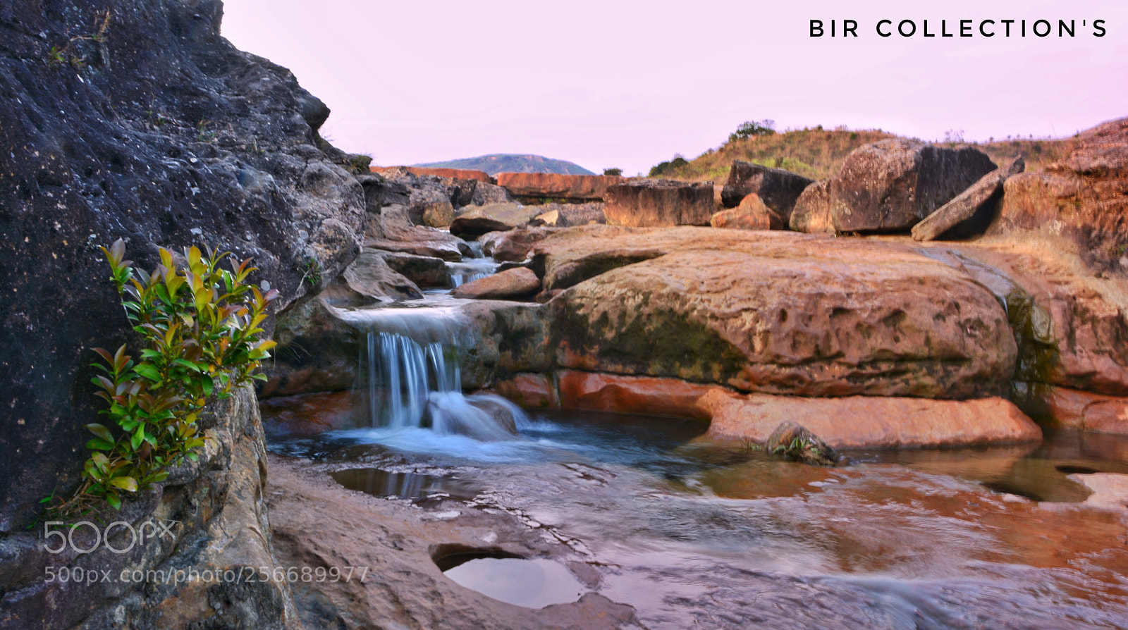 Nikon D5200 sample photo. Untitled photography