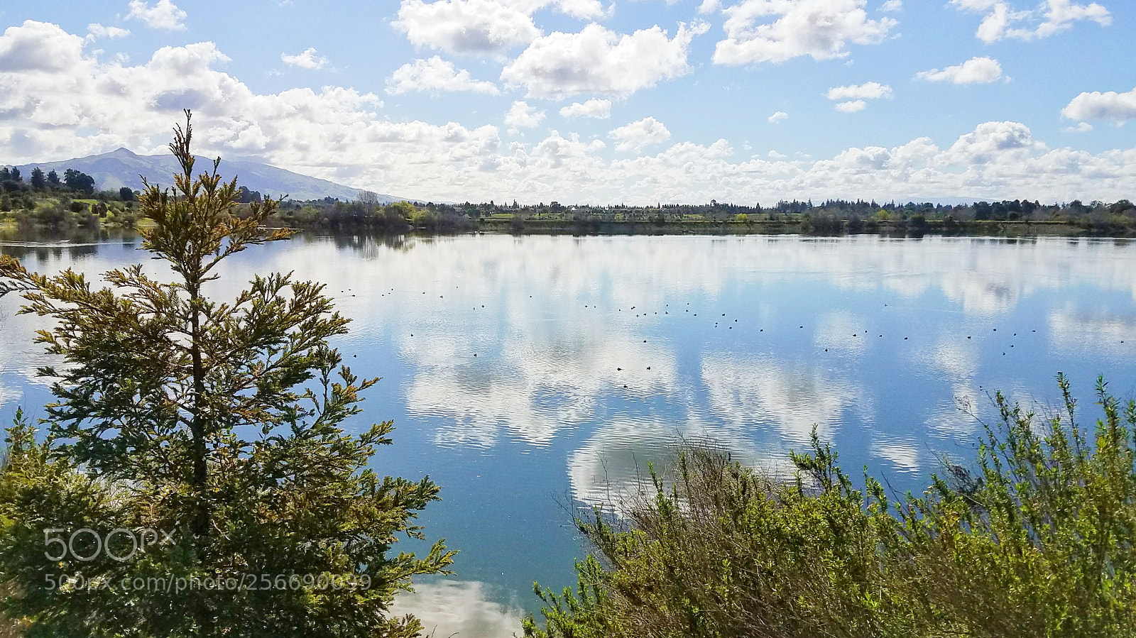 Samsung Galaxy S7 Edge sample photo. Bright lake photography