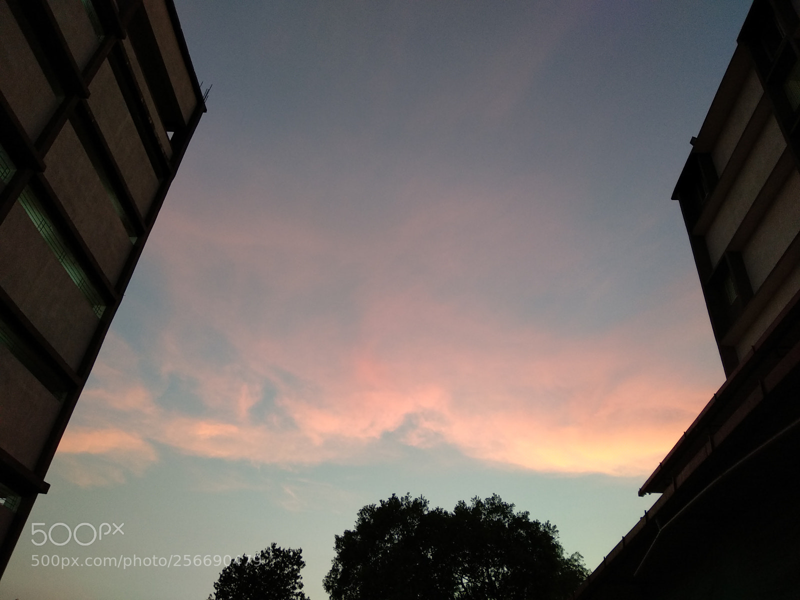 Xiaomi Mi A1 sample photo. Untitled photography