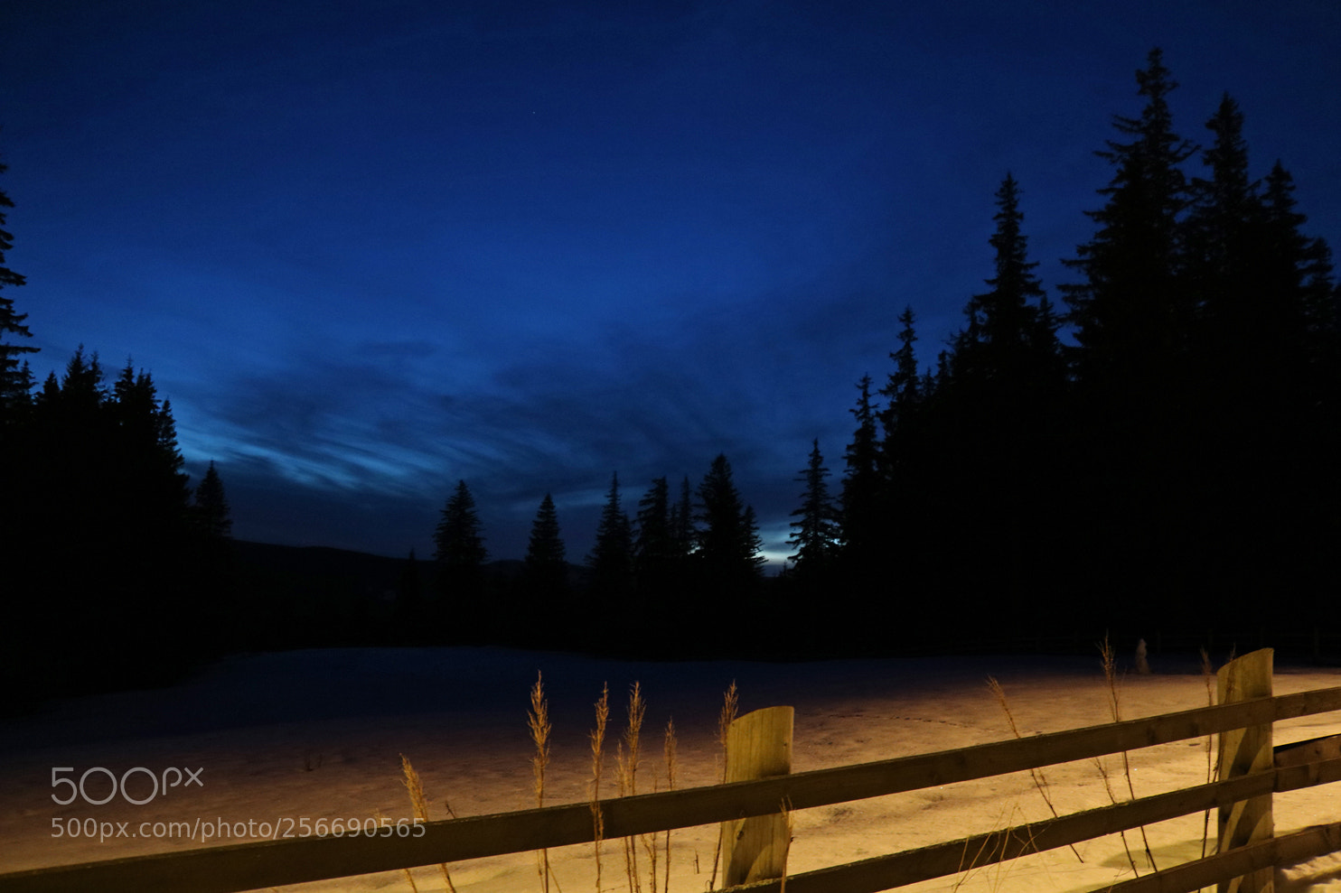 Canon EOS 750D (EOS Rebel T6i / EOS Kiss X8i) sample photo. Abend photography
