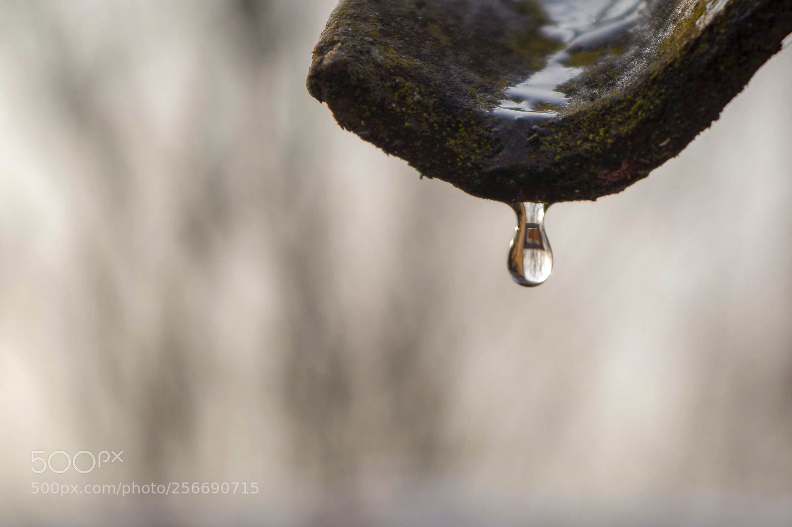 Pentax K-50 sample photo. Drip photography