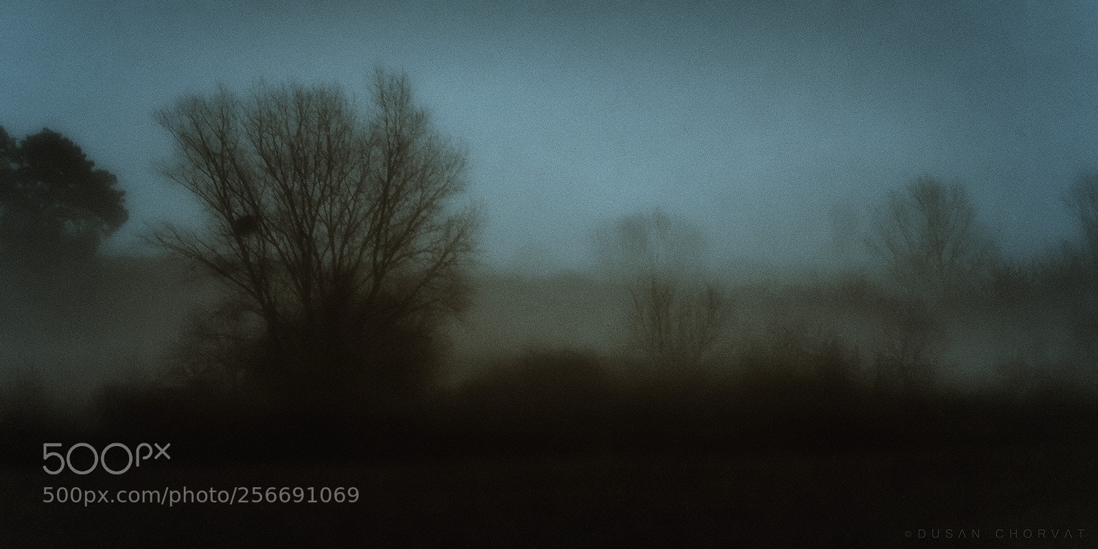 Canon EOS 7D Mark II sample photo. Dark shadows photography