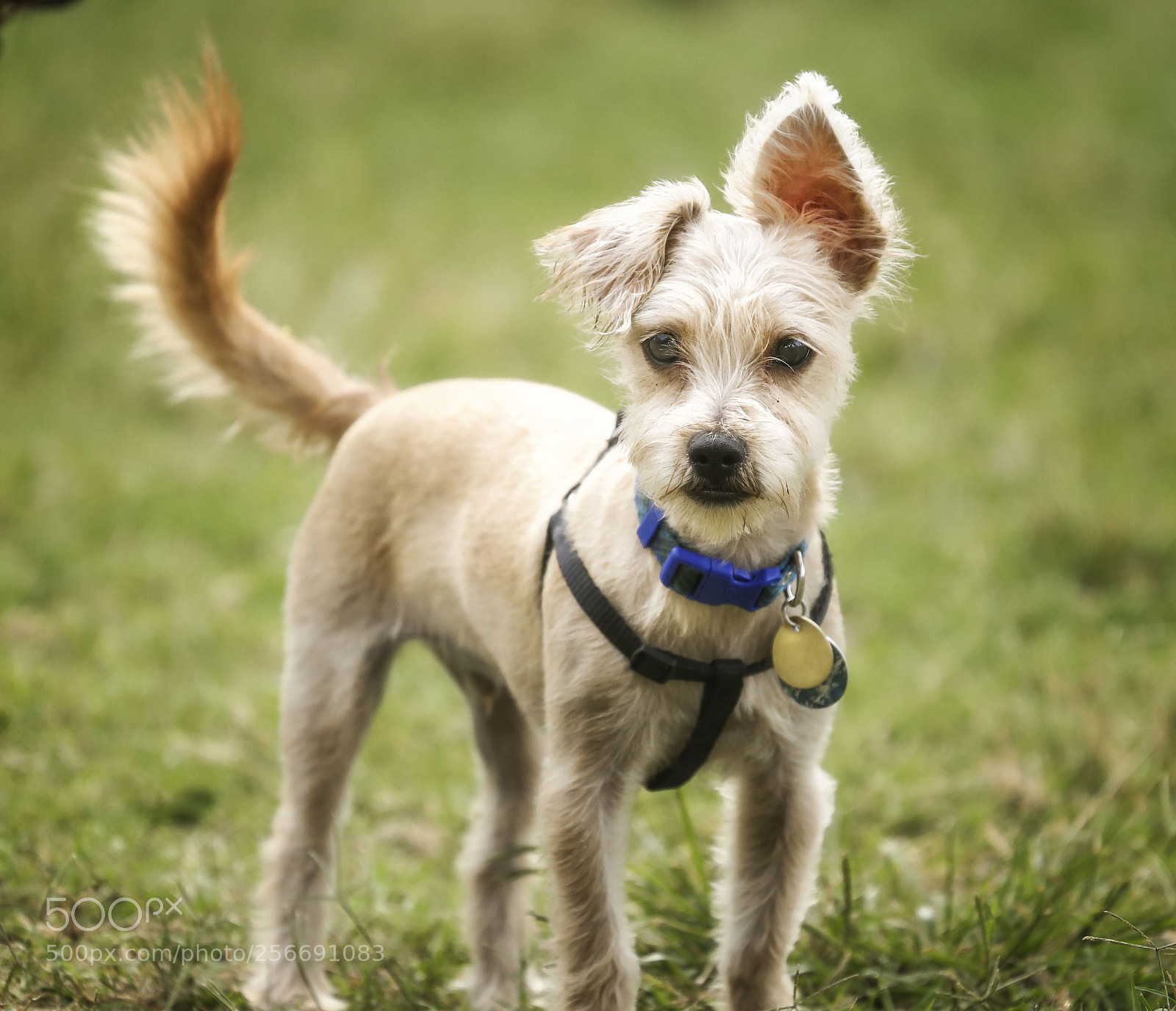 Canon EOS 6D sample photo. First time at the photography